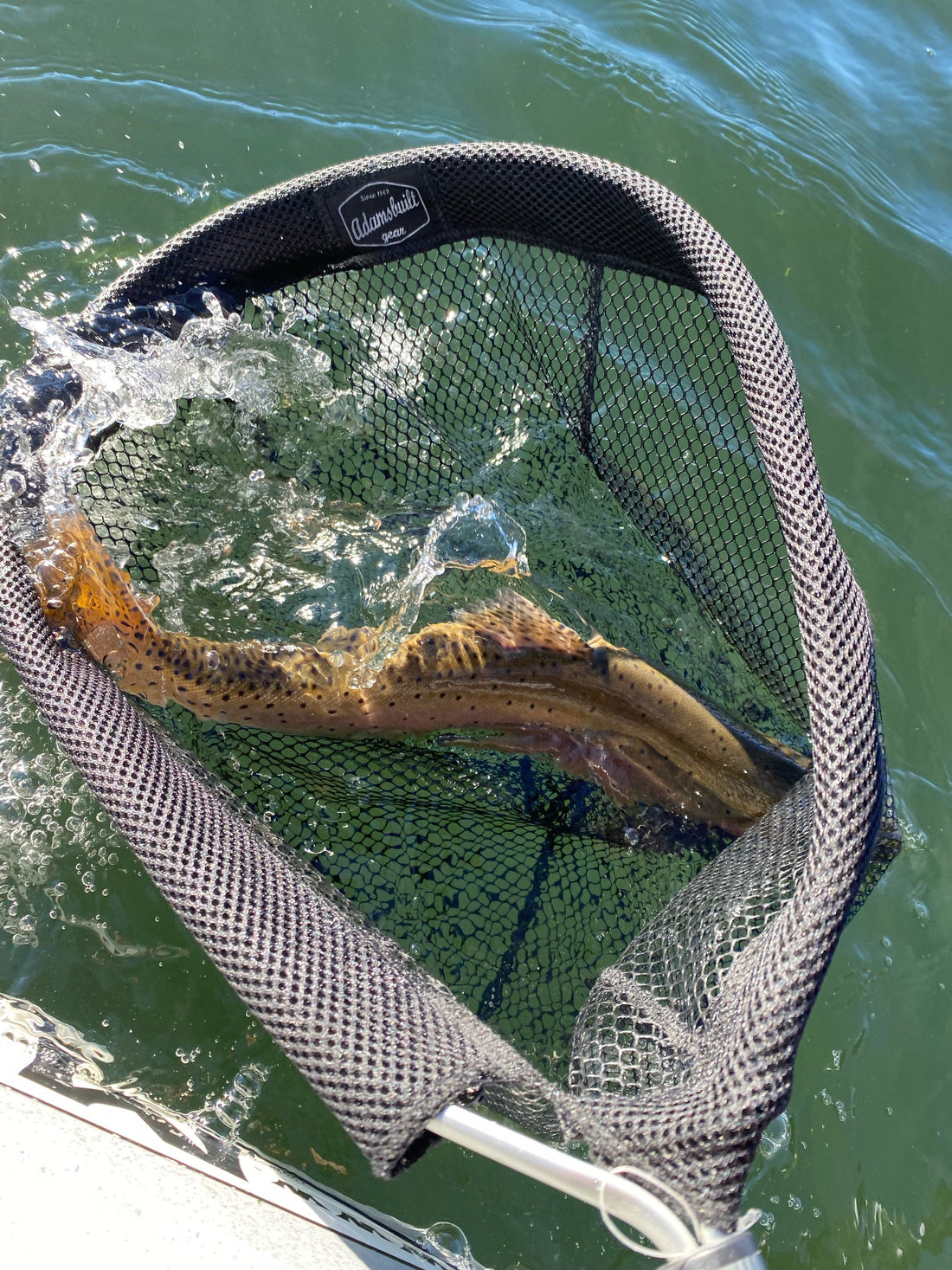 Sustainability in Fishing